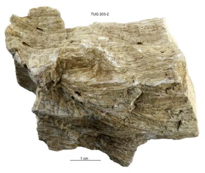 https://files.geocollections.info/large/0f/75/0f75cef0-f58f-4bf8-8404-3d14217dcb91.jpg