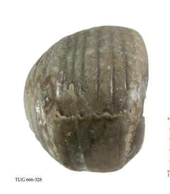 https://files.geocollections.info/large/0f/9b/0f9befb1-c92a-4d4a-98fd-d653cd85ef4c.jpg