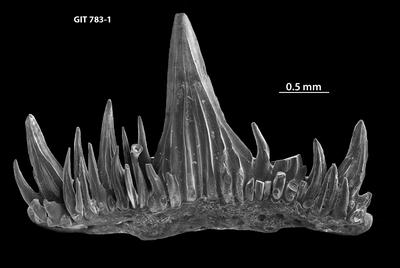 https://files.geocollections.info/large/0f/c9/0fc94326-edf8-4166-aaf3-cb0bc33a7480.jpg