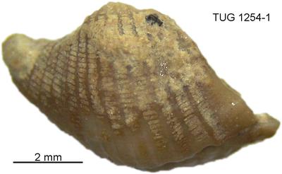 https://files.geocollections.info/large/0f/f5/0ff562d1-9e38-42b8-831a-14d820b48532.jpg