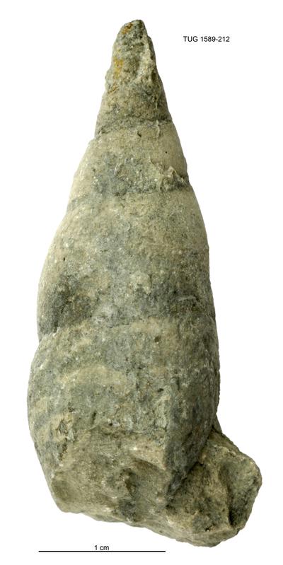 https://files.geocollections.info/large/10/02/1002dc7c-b7cc-4df7-8003-96a861bbe0da.jpg