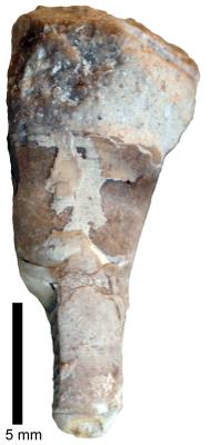 https://files.geocollections.info/large/10/4d/104d2335-2571-426f-9c0c-7f532345c54c.jpg