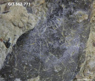 <i></i><br />Kaugatuma,  m, Kaugatuma Stage