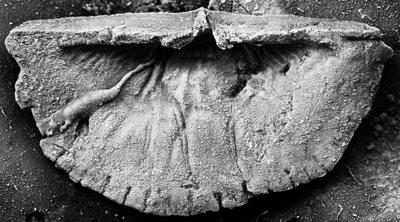 https://files.geocollections.info/large/12/04/1204c5ab-1306-4a44-91c9-3e0e869d97fa.jpg