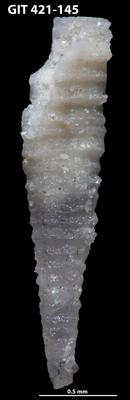 https://files.geocollections.info/large/13/35/1335eb50-87e9-4989-8244-7fa8bfa2539f.jpg