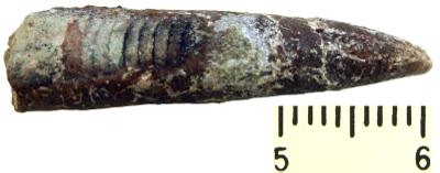 https://files.geocollections.info/large/13/b3/13b328c1-8e9c-44d2-bb09-e565d7fbff0d.jpg