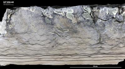 <i></i><br />Reinu Quarry,  m, 