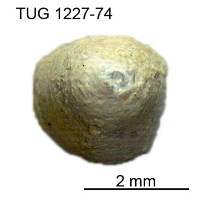 https://files.geocollections.info/large/14/a6/14a63065-09b5-4507-8637-481501d46d82.jpg
