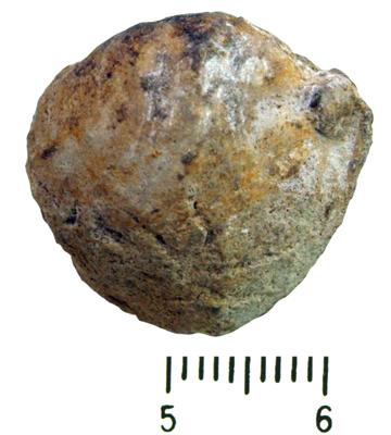 https://files.geocollections.info/large/14/be/14be6cf6-c61c-4bec-aa65-68337eb2a0b0.jpg