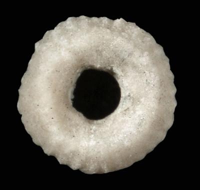https://files.geocollections.info/large/15/82/1582e124-a40f-48eb-aa94-bef14104b7eb.jpg