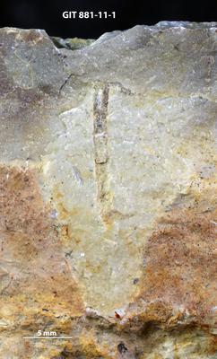 <i></i><br />Sutlema quarry,  m, 