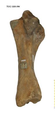 https://files.geocollections.info/large/15/c5/15c52d87-986b-4f81-bae1-9b4cca11f30c.jpg