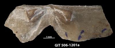 https://files.geocollections.info/large/16/60/166099a4-5dd6-48a5-a106-66547dbcdc8e.jpg