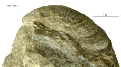 https://files.geocollections.info/large/16/7d/167d6c3f-207e-429b-a76b-128b80c26343.jpg