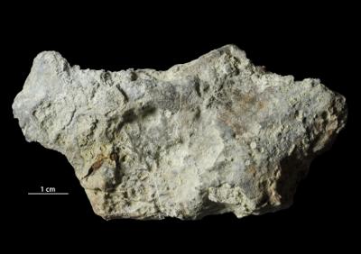 <i></i><br />Päärdu outcrop,  m, Adavere Stage