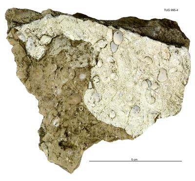 https://files.geocollections.info/large/16/9f/169fbcfd-9f63-4bf7-83a7-30f6c7757d4a.jpg