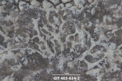 <i></i><br />Ohesaare cliff,  m, Ohesaare Stage