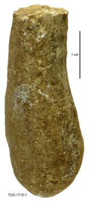 https://files.geocollections.info/large/17/35/1735b87e-fc11-462d-8959-40120be6c515.jpg