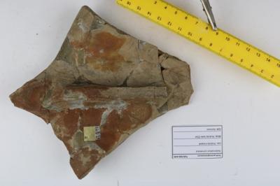 https://files.geocollections.info/large/17/9d/179d27c1-762f-49f4-8da1-56050c873aaf.JPG