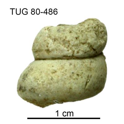 https://files.geocollections.info/large/17/cd/17cd3ccf-a1ca-472e-a9d3-ecffdca186d2.jpg