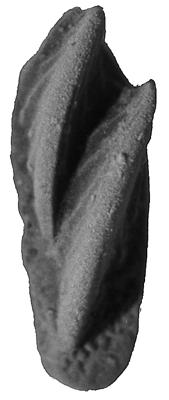 https://files.geocollections.info/large/18/0a/180a8a46-4337-4b6e-838b-98f53dc05251.jpg