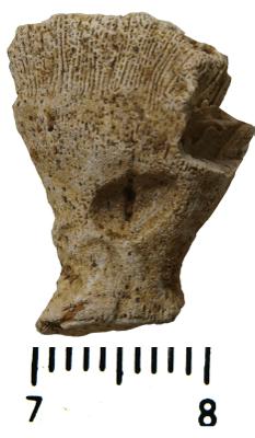 https://files.geocollections.info/large/18/44/184447c0-6aee-44e9-afc6-f324b4b63842.jpg