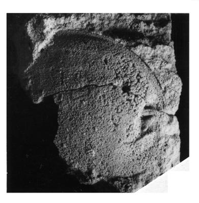 https://files.geocollections.info/large/18/4b/184b11a0-9f13-4efe-a8ec-d3a3171da0de.jpg