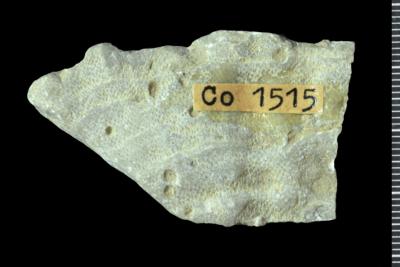 https://files.geocollections.info/large/18/5a/185a3c10-a0d3-4d78-a35d-719c68ea77fa.jpg
