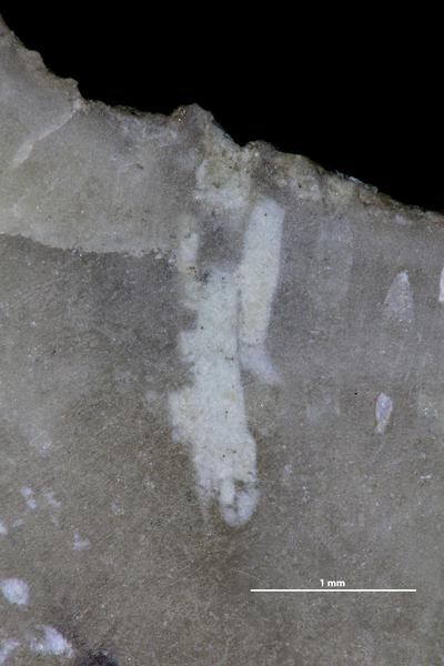 https://files.geocollections.info/large/18/88/1888f145-b154-4504-989b-158793501f3a.jpg