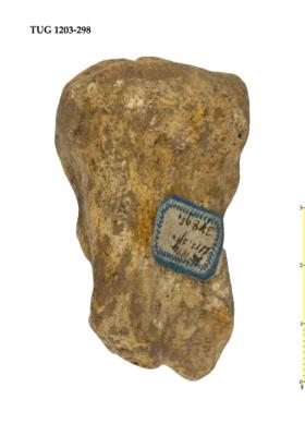 https://files.geocollections.info/large/19/23/1923293c-3258-493d-bc16-499b6b2d0337.jpg