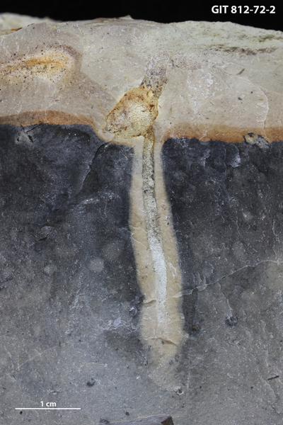 <i></i><br />Sutlema quarry,  m, Nabala Stage