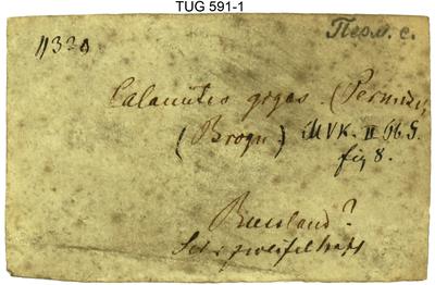 https://files.geocollections.info/large/19/bc/19bc62b0-3e74-4141-8211-52101664c004.jpg