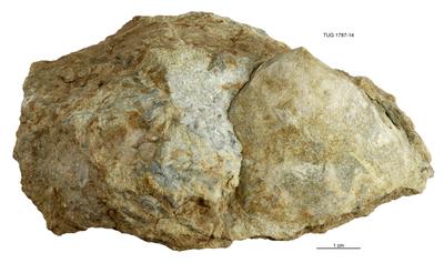 https://files.geocollections.info/large/1a/e3/1ae333f6-fc2c-48d3-a637-0a19f1387249.jpg