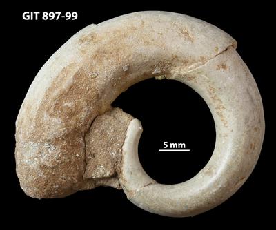 https://files.geocollections.info/large/1a/e8/1ae8e7a1-3492-4c2a-8b4f-8b081bec227f.jpg