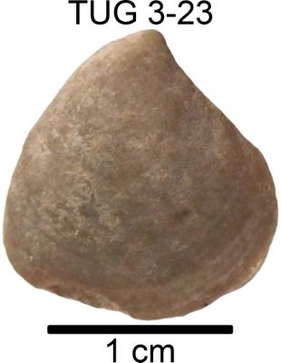 https://files.geocollections.info/large/1b/8e/1b8e8dee-52ae-41da-96f9-402695ebd151.jpg