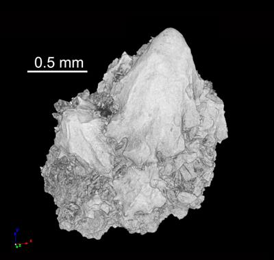 https://files.geocollections.info/large/1c/0c/1c0c4fde-b5bf-4208-9e0b-fa859ea12819.jpg