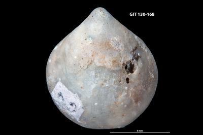 https://files.geocollections.info/large/1c/0c/1c0cd18b-8f43-47ad-9470-cf7de9611666.jpg