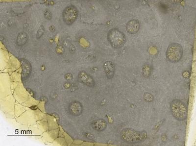 https://files.geocollections.info/large/1d/04/1d046094-1c1b-4ff3-89ae-088bd6316ce3.jpg