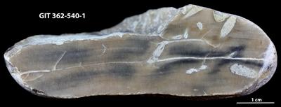 <i></i><br />Suuriku cliff,  m, Jaani Stage