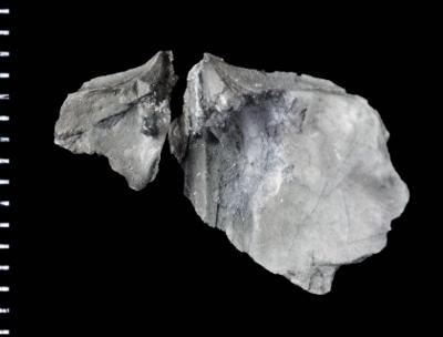https://files.geocollections.info/large/1d/74/1d7430bc-69bc-4709-9f0a-02591ffde343.jpg