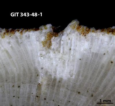 https://files.geocollections.info/large/1d/7f/1d7f1500-0182-4112-ab43-c18af3ea6dfa.jpg