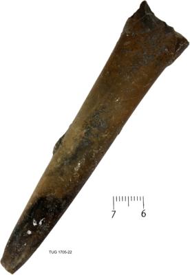 https://files.geocollections.info/large/1f/20/1f208dba-1e85-4ed9-9e7b-c2fe7498be14.jpg