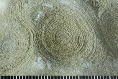 https://files.geocollections.info/large/20/11/201147bd-0287-4f63-87bf-558be6c52c4a.jpg