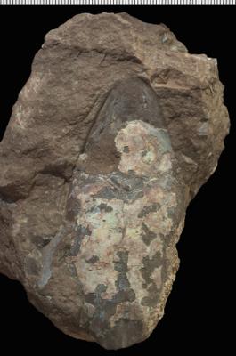 https://files.geocollections.info/large/20/2c/202c8508-ef55-436d-8f11-78d609aaae64.jpg