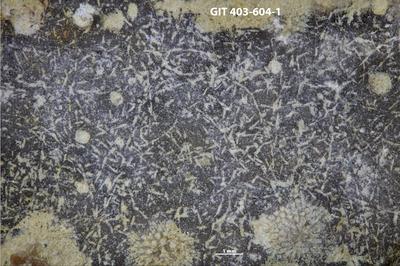 <i></i><br />Ohesaare cliff,  m, Ohesaare Stage