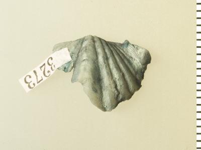 https://files.geocollections.info/large/20/df/20dffa2a-78b7-42ba-8f4e-8db6a3029b32.jpg