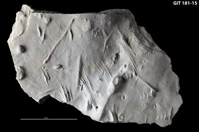https://files.geocollections.info/large/20/f5/20f5406f-7918-421f-b94d-6012013500a7.jpg