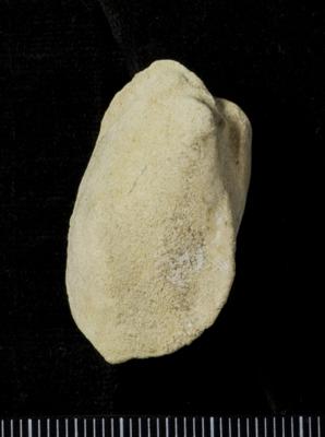 https://files.geocollections.info/large/21/a8/21a87cf5-7d54-483c-812f-8a7b279fade1.jpg