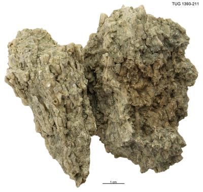 https://files.geocollections.info/large/22/44/2244bad9-d730-43e5-b41e-9b9e3addc107.jpg
