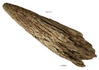 https://files.geocollections.info/large/22/7f/227f5bca-d80b-40e8-8246-67344c01c8a6.jpg